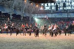 Cavalry - 00256